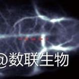 熒光成像在材料科學(xué)研究中的應(yīng)用與產(chǎn)品選擇指南